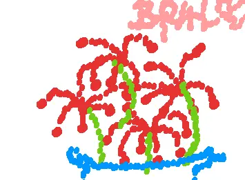BR4L
