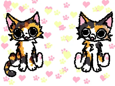 miau