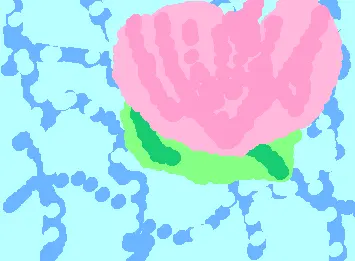 🪷🪷🪷🪷🪷🪷🪷🪷🪷