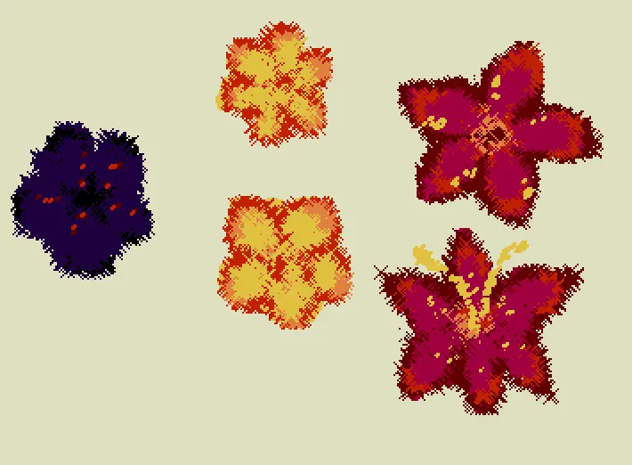 🌺🌼🌻