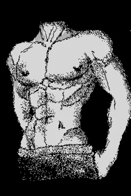 ABS
