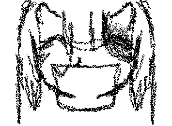 ver1