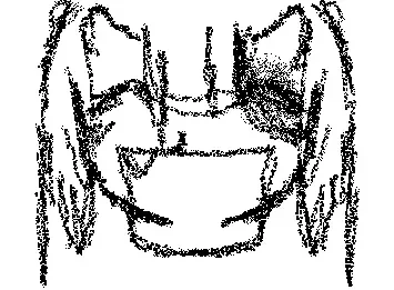 ver1