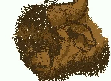 yak man