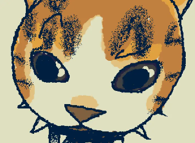 Pet party cat