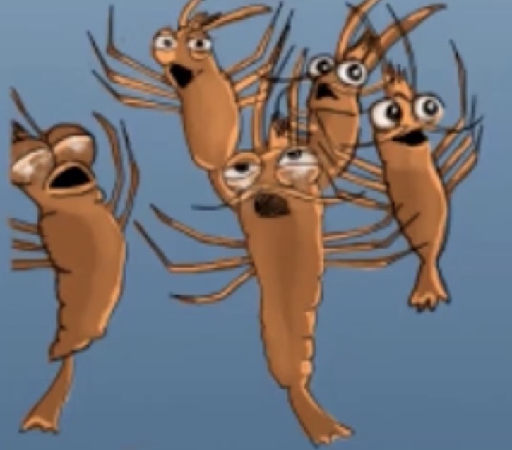 Gfyrtuedgfrsugfur