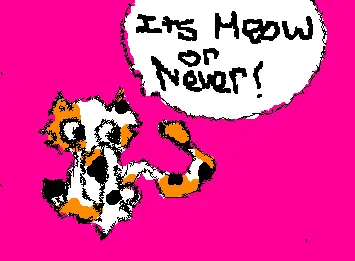 Its 'Meow' or never!