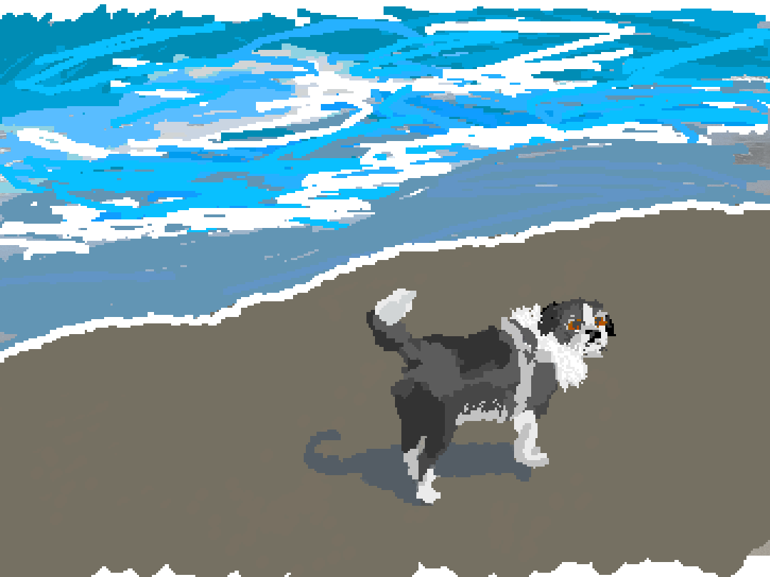 Beach pup