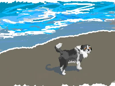 Beach pup