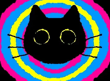 Winnie my cat