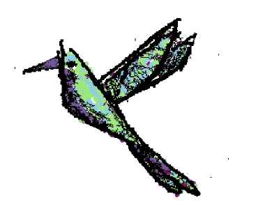 intento de colibri