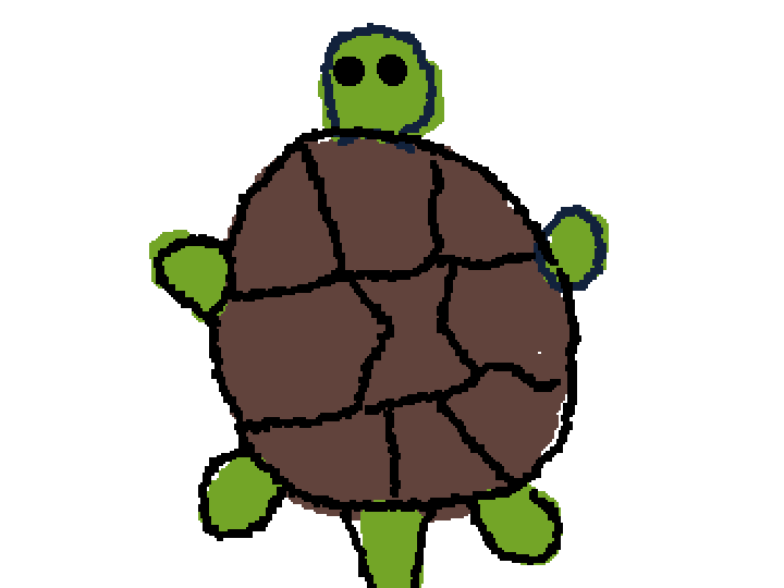Steak The Turtle