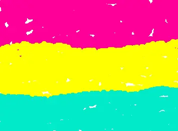 Pansextual Flaggy