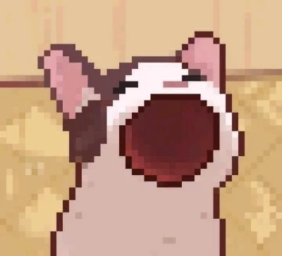 AAAA