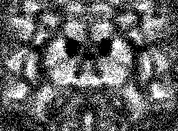 hedgehoG