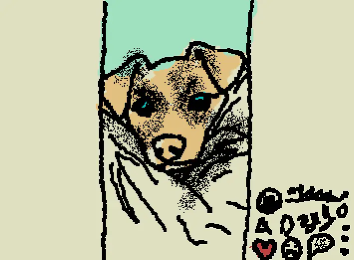 doggo
