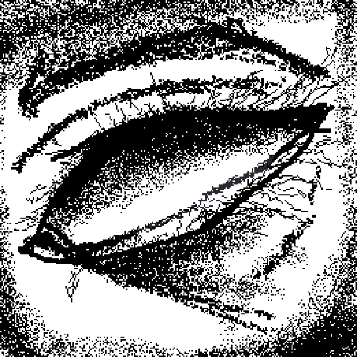 eye