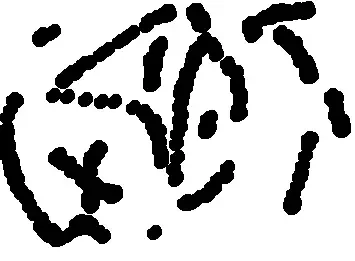 nose