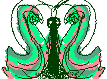 Love bug 2