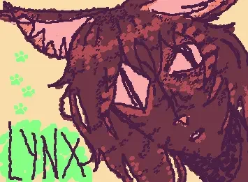 Lynx