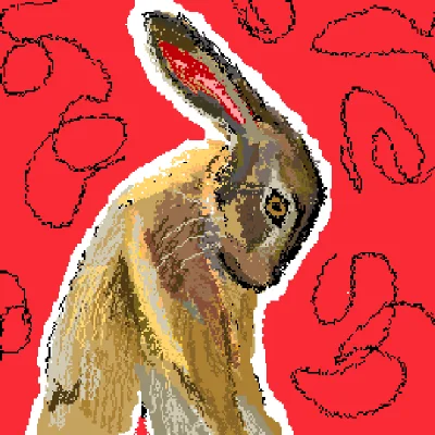 1 hare