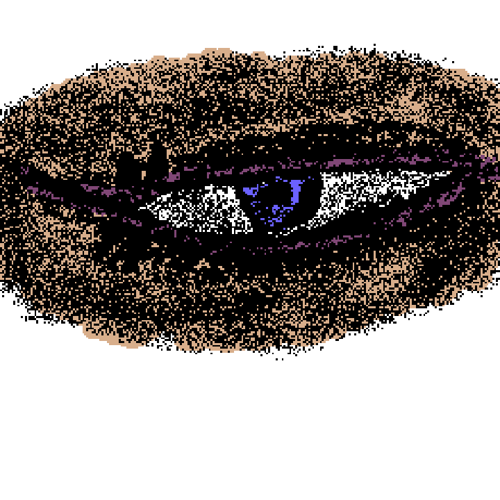 I did my best