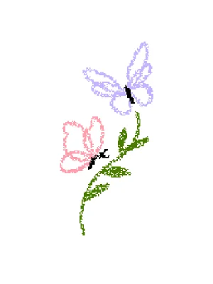 butterfly