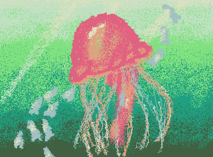 jellyfish