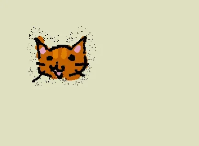 silly cat