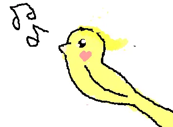 My bird
