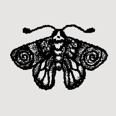 Moth