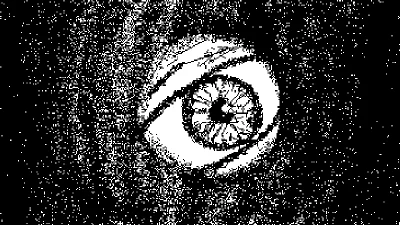 zoio