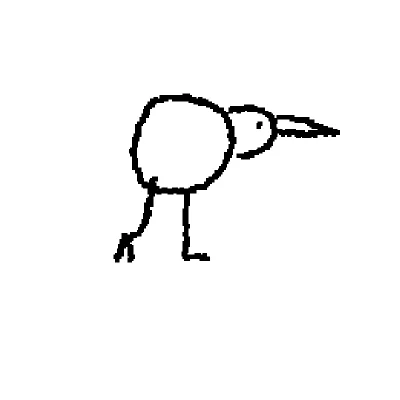 test kiwi