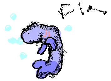 fin the fish