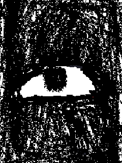 uhh a random eye?