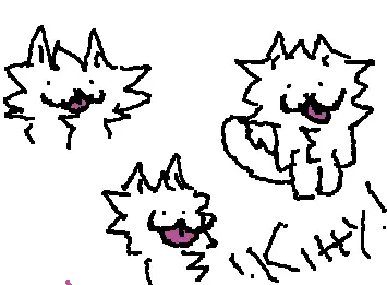 Meow