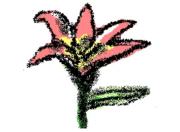 thought of flower
