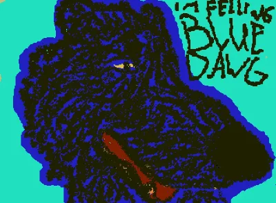 feel the blue dawggggg
