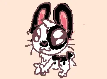 my rabbit :3