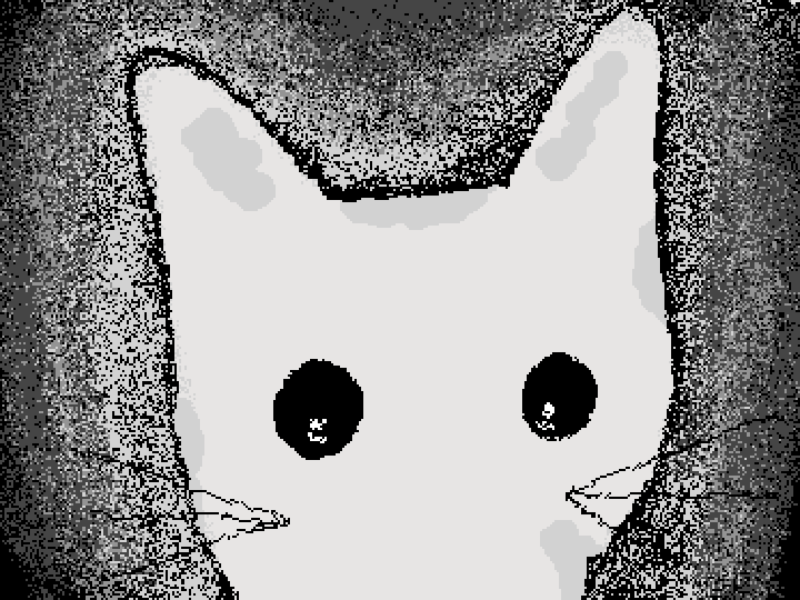 cat