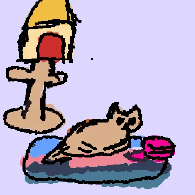 cat