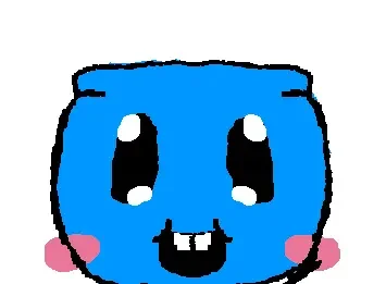 FINN THE DOLPHIN