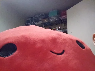 Cute crab squishmallow