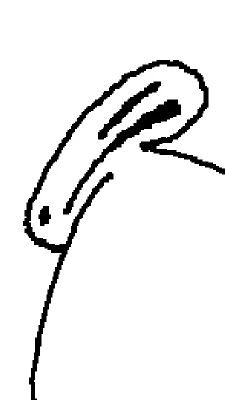 smear frame