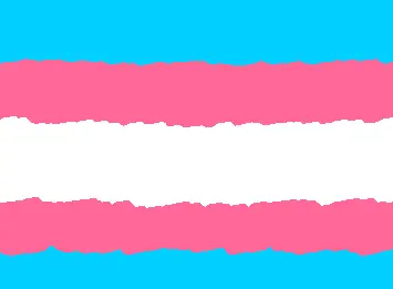 Trans Flag