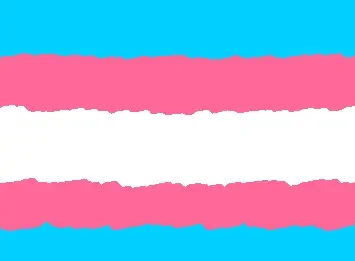 Trans Flag