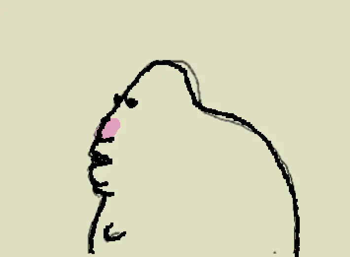 Hammy side profile