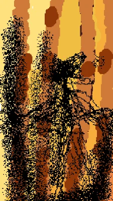 the bacteria