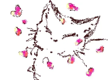 CAT BLOSSOM