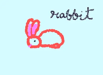 My first rabbit